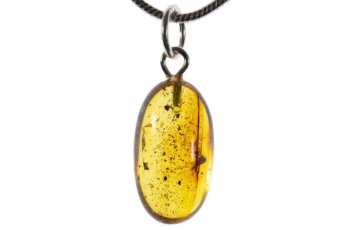 Polished Baltic Amber Pendant (Necklace) - Contains Fly! #339586